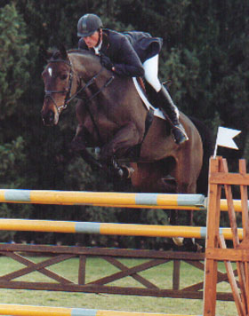 Gentle Breeze & Derek Morton UK Show Jumpers